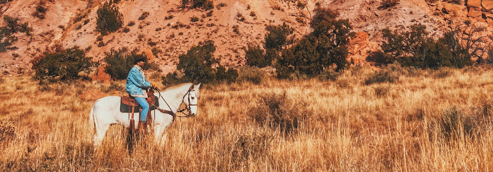 Cowboy3 image slide